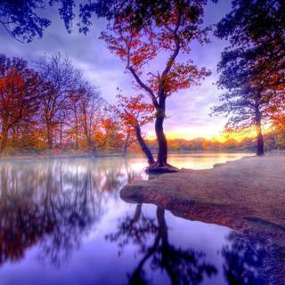 Blur autumn wallpaper