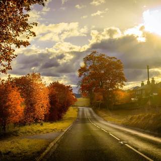 Autumn road sunset wallpaper