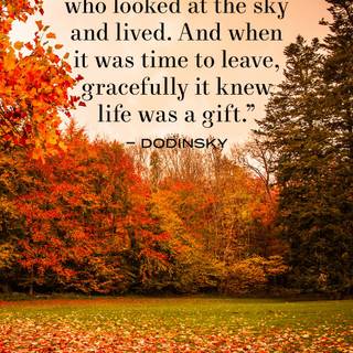 Autumn motivational wallpaper