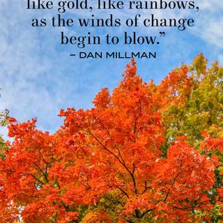 Autumn motivational wallpaper