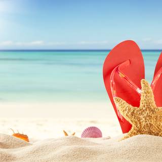 Beach flip flop summer wallpaper