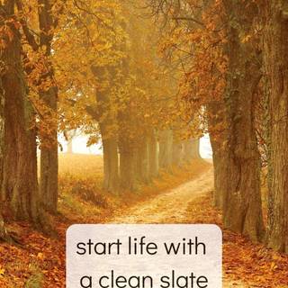 Autumn motivational wallpaper