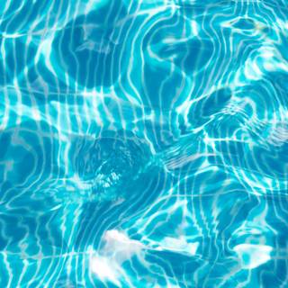 Summertime swimming wallpaper