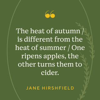 Autumn motivational wallpaper