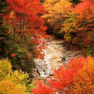 Blur autumn wallpaper