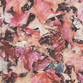 Autumn motivational wallpaper