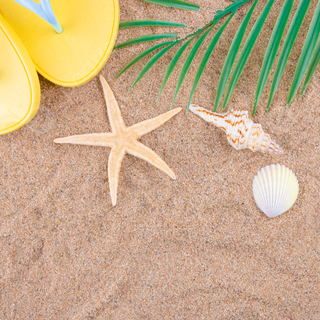 Beach flip flop summer wallpaper