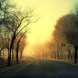 Autumn road sunset wallpaper