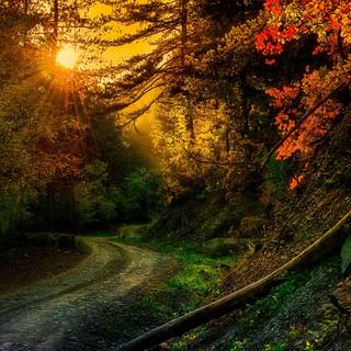 Autumn road sunset wallpaper