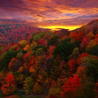 Autumn road sunset wallpaper