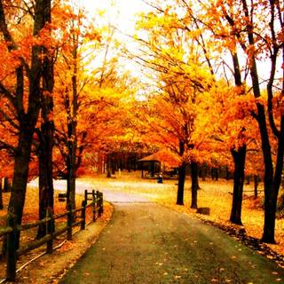 Autumn motivational wallpaper