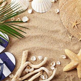 Beach flip flop summer wallpaper