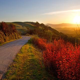 Autumn road sunset wallpaper