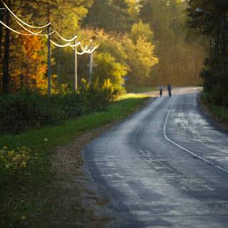 Autumn road sunset wallpaper
