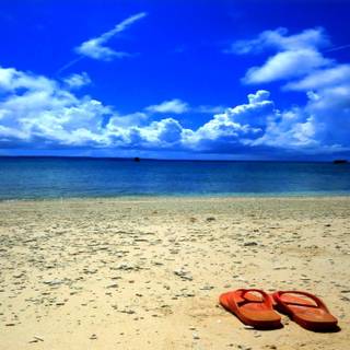 Beach flip flop summer wallpaper