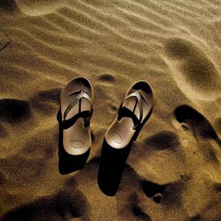 Beach flip flop summer wallpaper