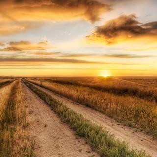 Autumn road sunset wallpaper