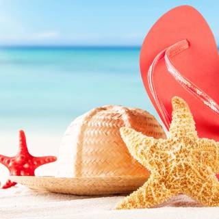 Beach flip flop summer wallpaper