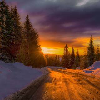 Autumn road sunset wallpaper