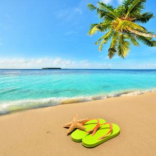 Beach flip flop summer wallpaper