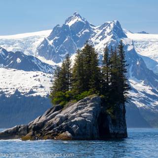 Kenai Fjords National Park Alaska wallpaper