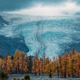 Kenai Fjords National Park Alaska wallpaper