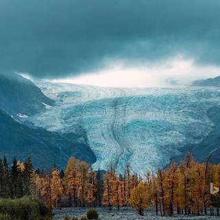 Kenai Fjords National Park Alaska wallpaper