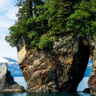 Kenai Fjords National Park Alaska wallpaper