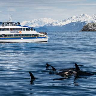 Kenai Fjords National Park Alaska wallpaper