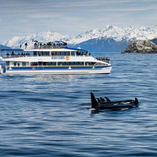 Kenai Fjords National Park Alaska wallpaper