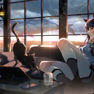 Anime cat 4k wallpaper