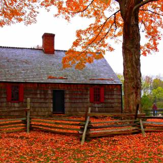 4k cottage wallpaper