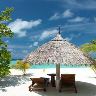 UHD summer wallpaper