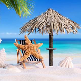 1920x1080 HD summer wallpaper