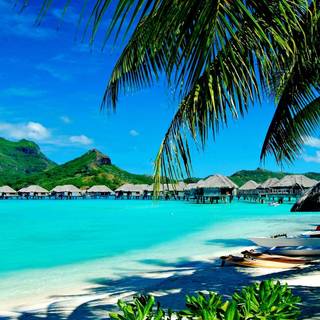 UHD summer wallpaper