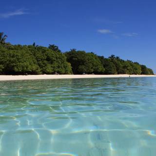 UHD summer wallpaper