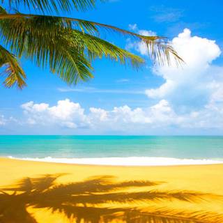 1920x1080 HD summer wallpaper