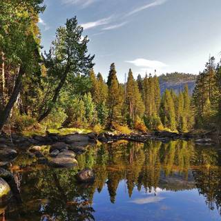 1920x1080 HD summer wallpaper