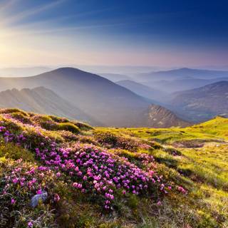 Summer mountians desktop wallpaper