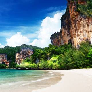 8k summer iPhone wallpaper