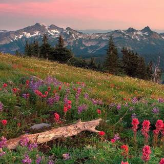 Summer mountians desktop wallpaper