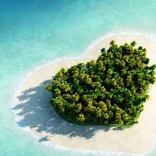 8k summer iPhone wallpaper