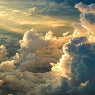 8k summer iPhone wallpaper