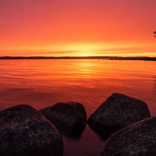 8k summer iPhone wallpaper