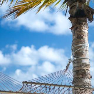 8k summer iPhone wallpaper