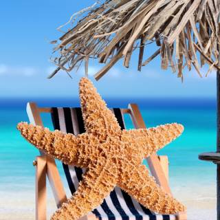 8k summer iPhone wallpaper