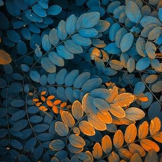 Autumn desktop 4k wallpaper