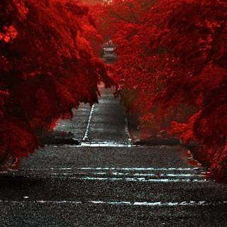 Red autumn 3840x1080 wallpaper