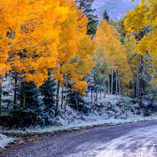 Autumn 3840x1080 4k wallpaper