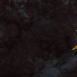 Red autumn 3840x1080 wallpaper